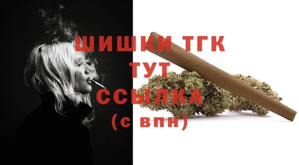 спиды Лабытнанги