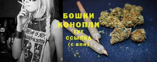 бутират Лагань
