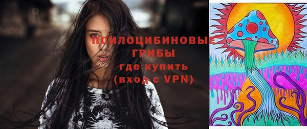 бутират Лагань