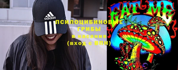спиды Лабытнанги